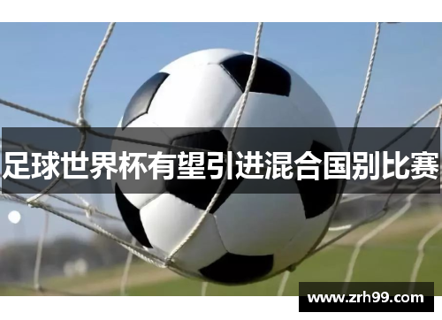 足球世界杯有望引进混合国别比赛